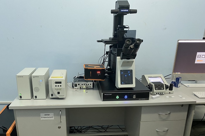 Система STEDYCON для микроскопии сверхвысокого разрешения в КФУ