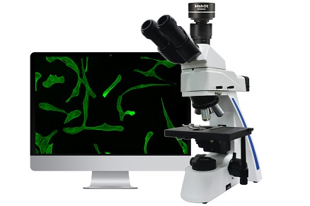 Изображение Оптические микроскопы для различных методов исследования