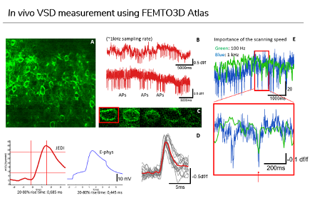 Изображение Визуализация изменений напряжения микроскопом FEMTO3D Atlas