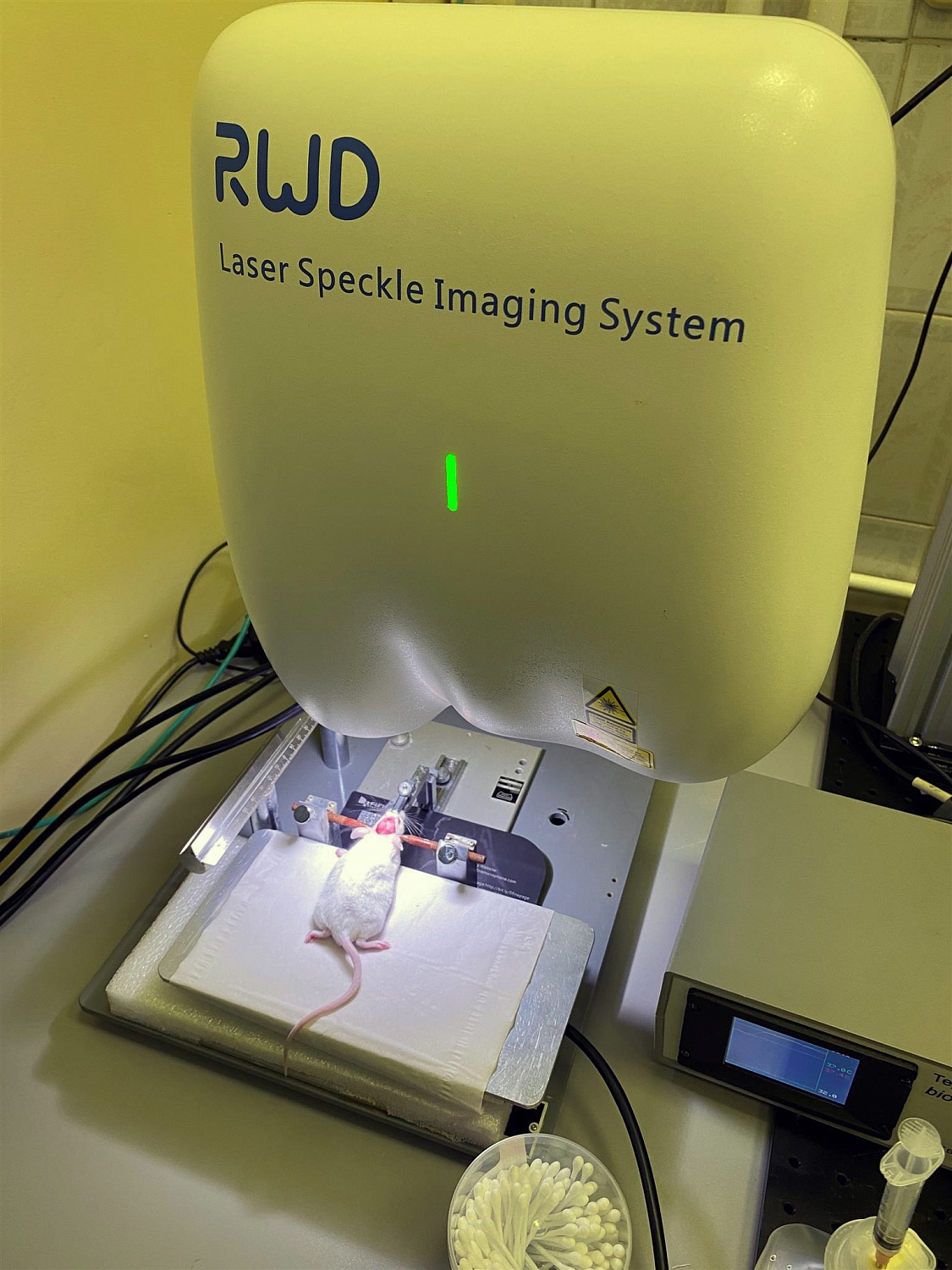 Фотоотчет тестирования системы визуализации кровотока RWD в ФГАУ "НМИЦ здоровья детей"