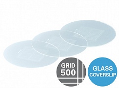 Покровное стекло ibidi с сеткой 500 мкм. Для подсчета и локализации клеток