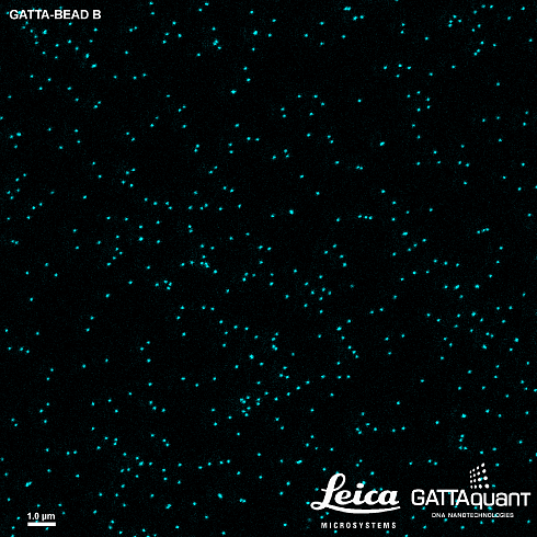 Флуоресцентные шарики GATTA-BEADS