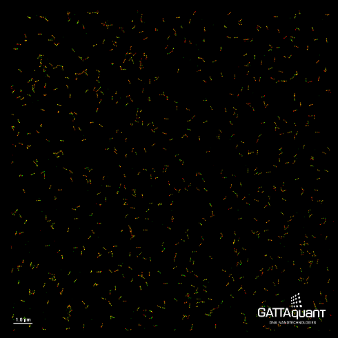 Флуоресцентные маркеры-нанолинейки GATTA-PAINT NANORULER