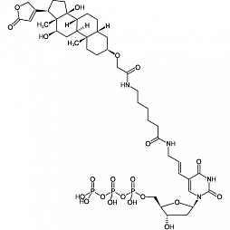 Диоксигенин-модифицированные нуклеотиды