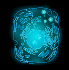 Фото Предметные стекла с клетками GATTA-CELLS