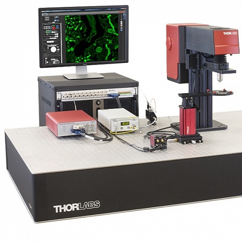Конфокальный флуоресцентный микроскоп Thorlabs