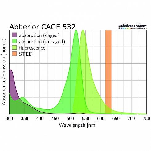 Флуоресцентный краситель Abberior CAGE 532