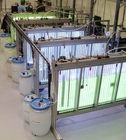 Фото Большие фотобиореакторы LS PBR для выращивания микроорганизмов в контролируемых условиях