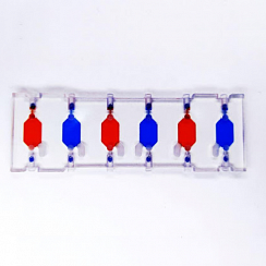 Изображение Герметизированный чип, шесть независимых реакционных камер 