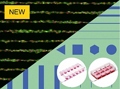 Изображение Слайд-камера µ-Slides, с поверхностью µ-Pattern, разные типы форм микроструктур