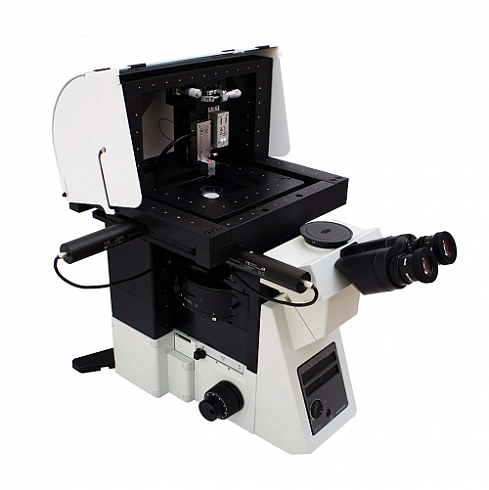 Изображение Система сканирующей ион-проводящей микроскопии