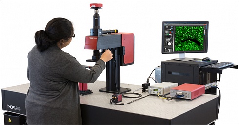 Конфокальный микроскоп для визуализации GFP флуоресценции