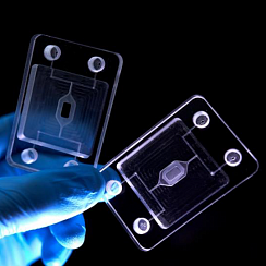 Изображение Проточные чипы с мембраной, проточный канал сверху и снизу 